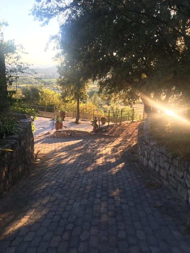 Le Castellas - Gite En Pleine Nature Montmirat Esterno foto