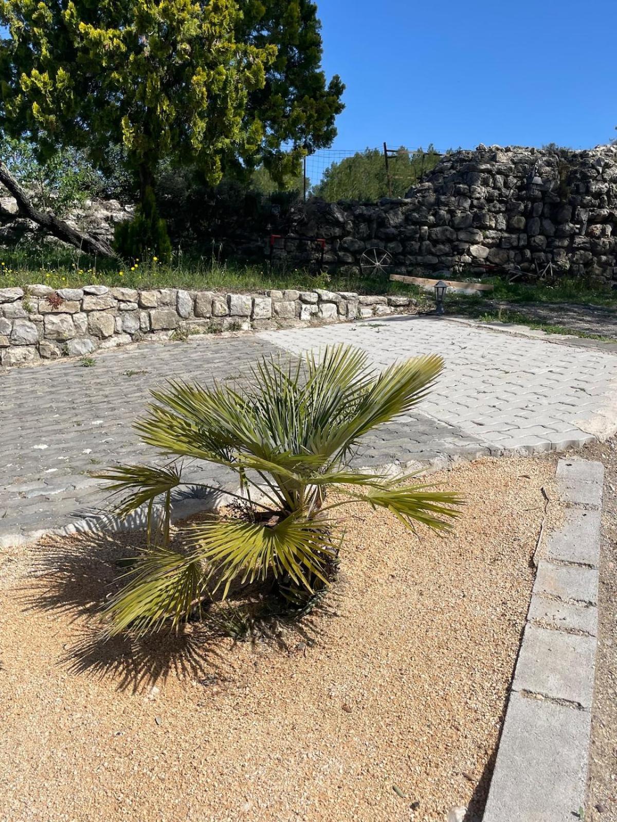 Le Castellas - Gite En Pleine Nature Montmirat Esterno foto