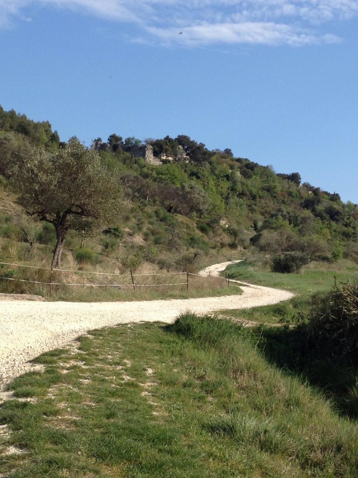 Le Castellas - Gite En Pleine Nature Montmirat Esterno foto
