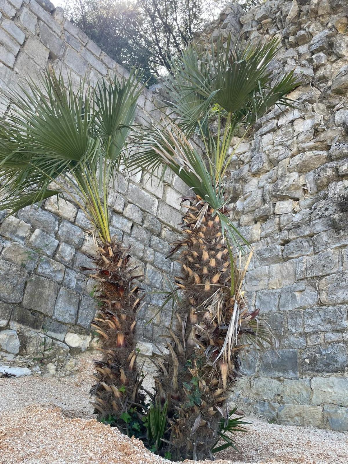 Le Castellas - Gite En Pleine Nature Montmirat Esterno foto