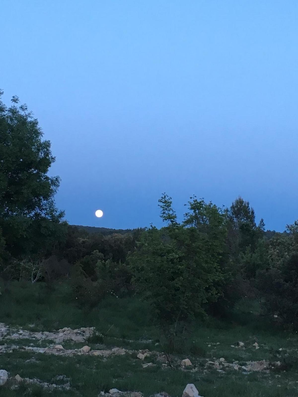 Le Castellas - Gite En Pleine Nature Montmirat Esterno foto